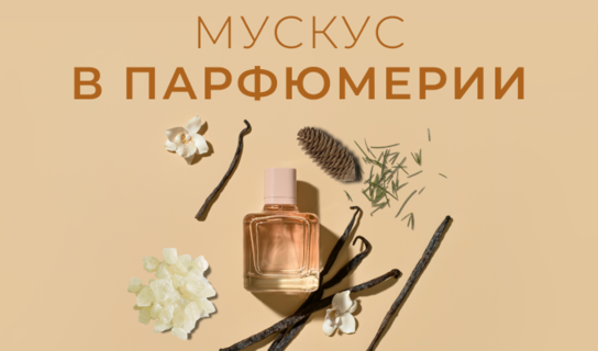 Мускус в парфюмерии: топ-5 женских и мужских ароматов