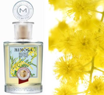 Mimosa – вечная весна от Monotheme