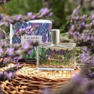 Lavande — аромат с лавандовых полей Франции от Fragonar