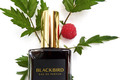 Blackbird – унисекс-аромат от Olympic Orchids