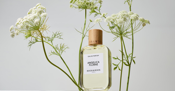 Аромат «травы ангелов» в парфюме Angelica Florae
