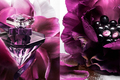 La Nuit Tresor Le Parfum — новый вариант культового аромата Lancome