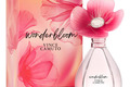 Цветочная романтика в аромате Wonderbloom от Vince Camuto
